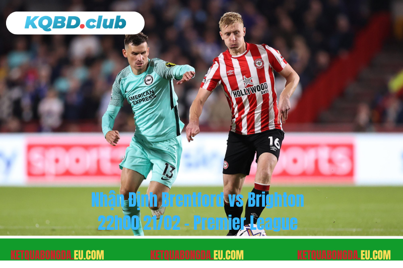 Đội hình dự kiến trước trận Brentford vs Brighton Đội hình dự kiến trước trận Brentford vs Brighton